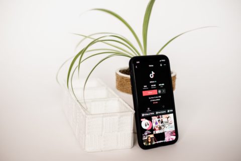 tiktok on phone