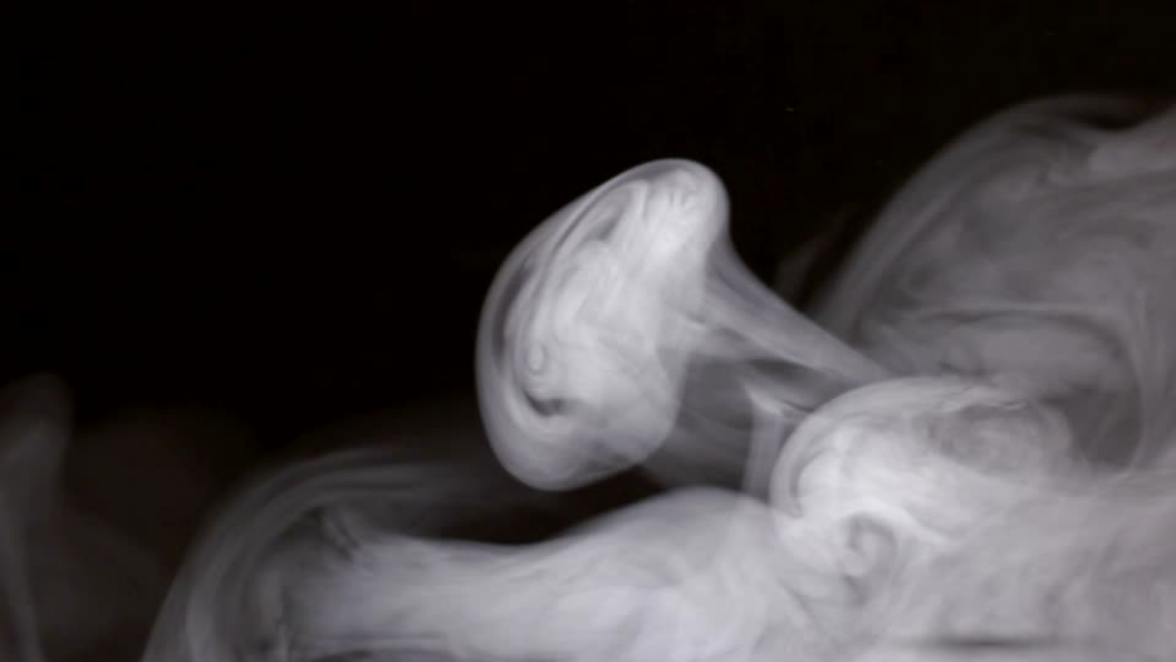 Visual Stink Visual Identity launches New “Smell Identity” service - Visual Identity
